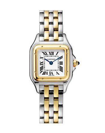 Cartier Panther Steel Yellow Gold Small W2PN0006